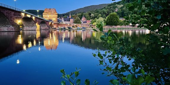 Campingplatz MainCamping in Miltenberg