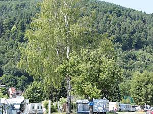 Campingplatz MainCamping in Miltenberg