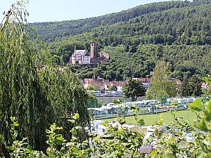 Campingplatz MainCamping in Miltenberg